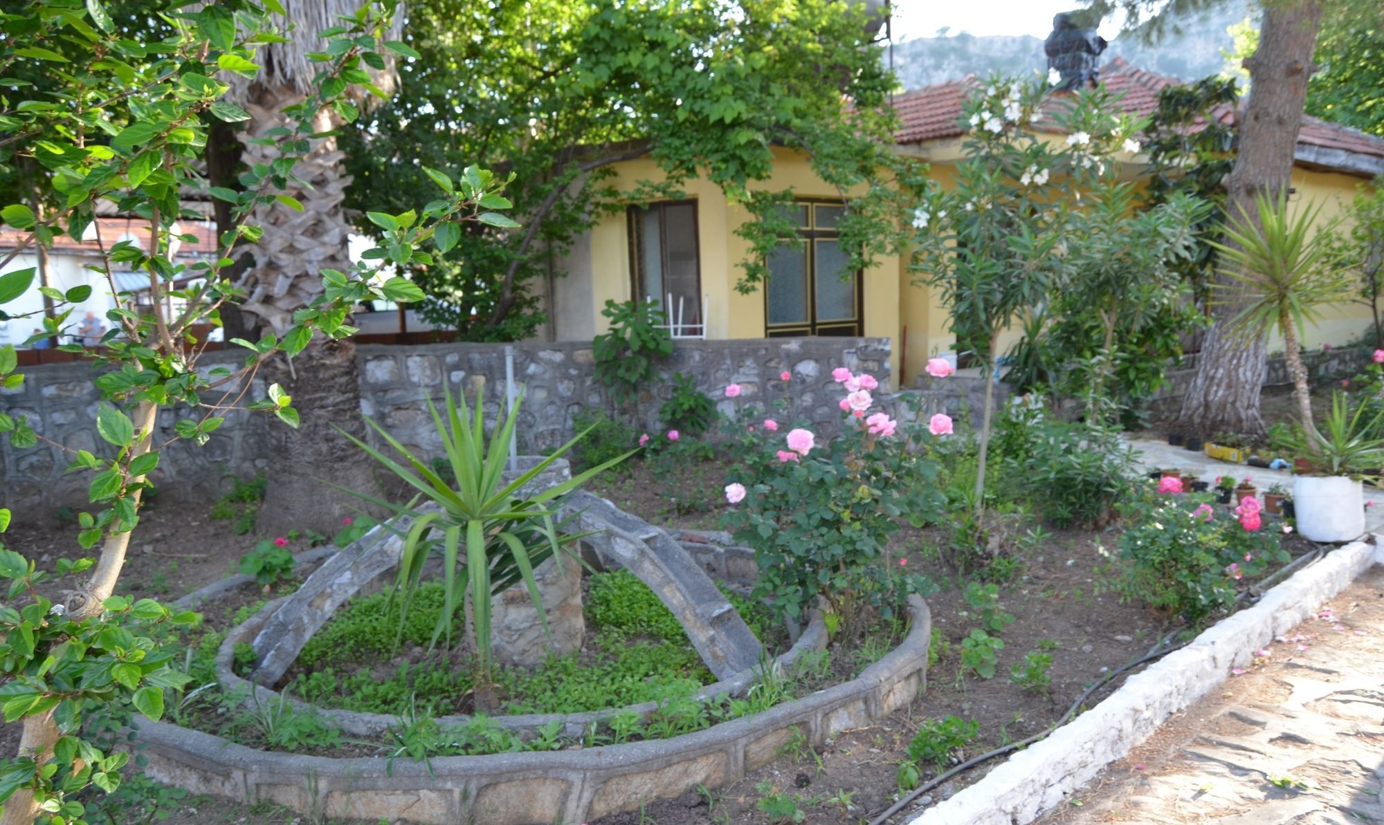 Dalyan Patio Hotel Extérieur photo