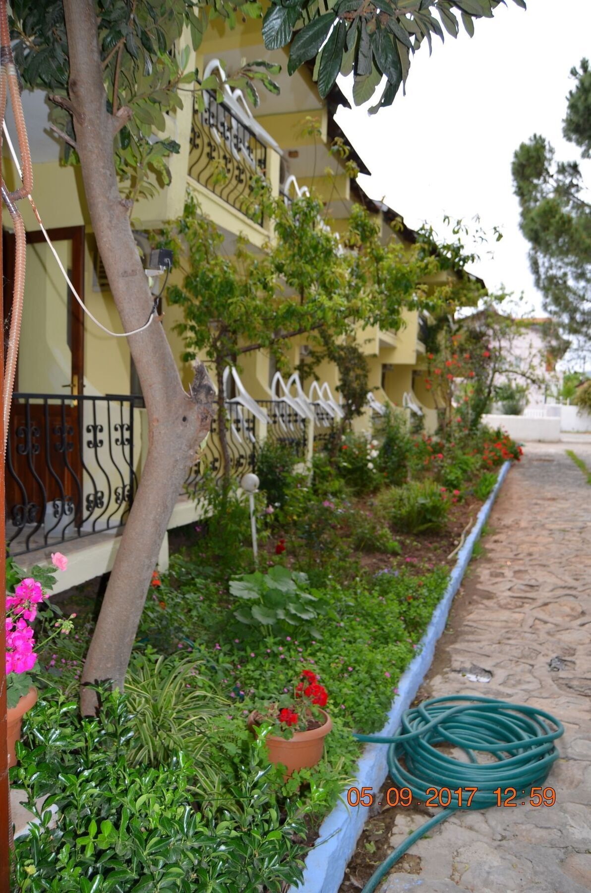 Dalyan Patio Hotel Extérieur photo