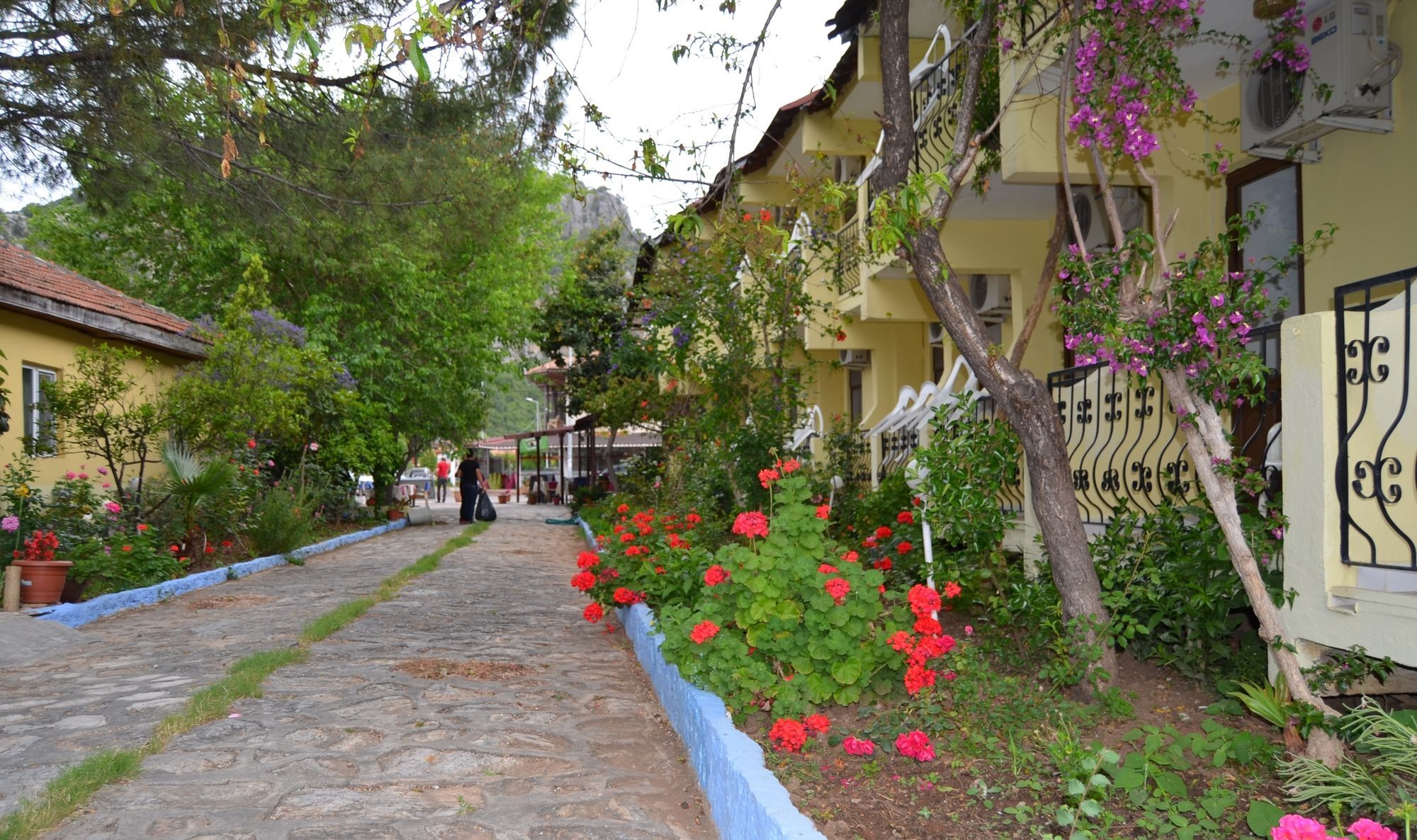 Dalyan Patio Hotel Extérieur photo
